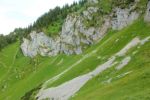 2014-07-05_Laengental-N-Hochweg (834). JPG